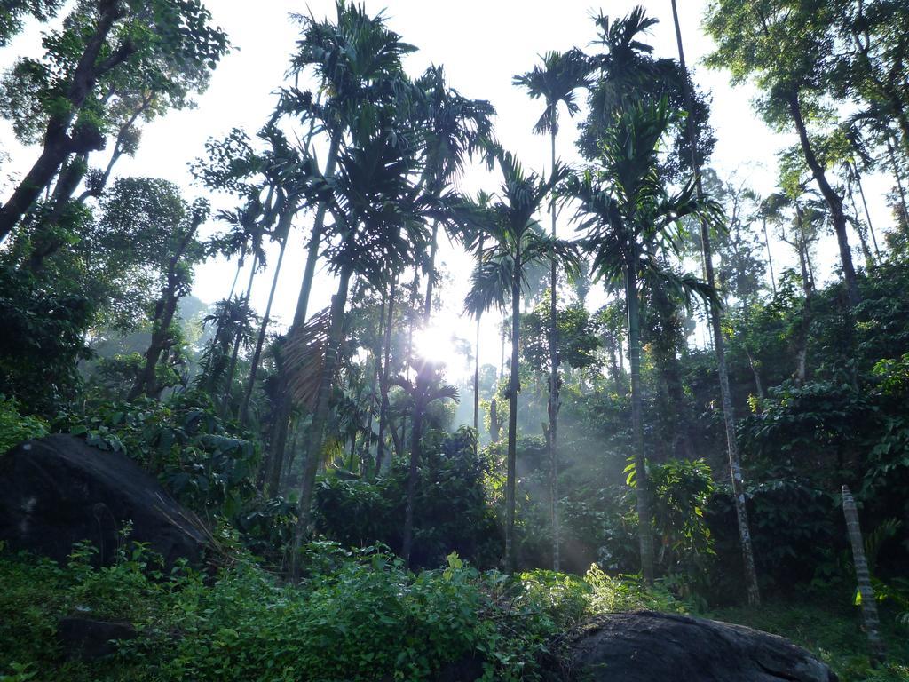 Raj Estate Stay Madikeri Exterior foto